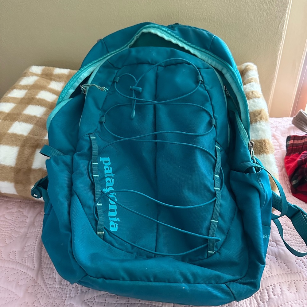 Patagonia Backpack